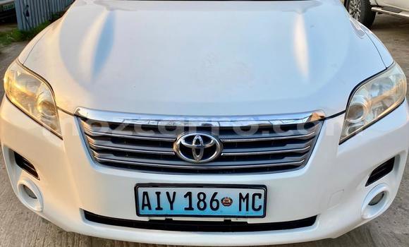 Tenga Tsaru Toyota Vanguard Chena Mota in Maputo in Maputo