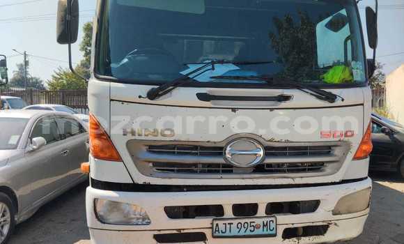 Comprar Usado Hino 300 Series Branco Caminhão em Maputo em Maputo