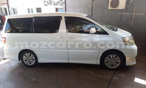Comprar Usado Toyota Alphard Branco Carro em Maputo em Maputo Comprar Usado Toyota Alphard Branco Carro em Maputo em Maputo