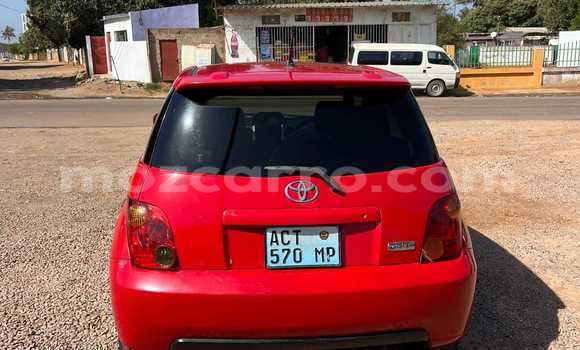Comprar Usado Toyota IST Vermelho Carro em Maputo em Maputo Comprar Usado Toyota IST Vermelho Carro em Maputo em Maputo