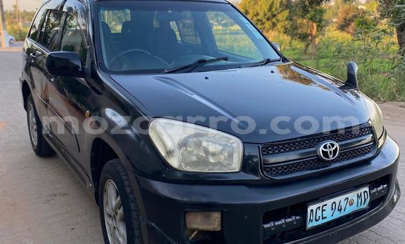 Buy Used Toyota RAV4 Black Car in Maputo in Maputo