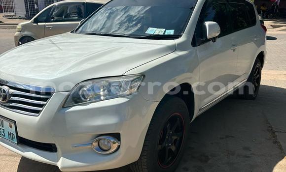Buy Used Toyota Vanguard White Car in Maputo in Maputo