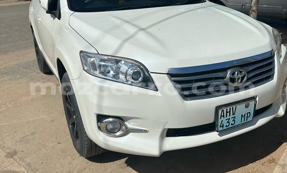 Buy Used Toyota Vanguard White Car in Maputo in Maputo Buy Used Toyota Vanguard White Car in Maputo in Maputo