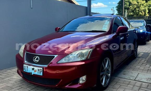 Comprar Usado Lexus IS Vermelho Carro em Maputo em Maputo Comprar Usado Lexus IS Vermelho Carro em Maputo em Maputo