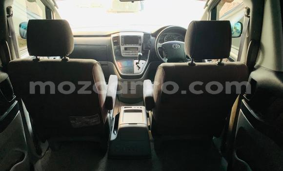 Tenga Tsaru Toyota Alphard Nhema Mota in Maputo in Maputo Tenga Tsaru Toyota Alphard Nhema Mota in Maputo in Maputo