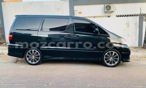 Tenga Tsaru Toyota Alphard Nhema Mota in Maputo in Maputo Tenga Tsaru Toyota Alphard Nhema Mota in Maputo in Maputo