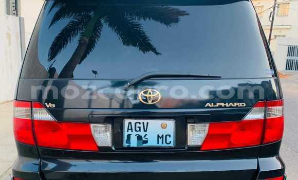 Tenga Tsaru Toyota Alphard Nhema Mota in Maputo in Maputo Tenga Tsaru Toyota Alphard Nhema Mota in Maputo in Maputo