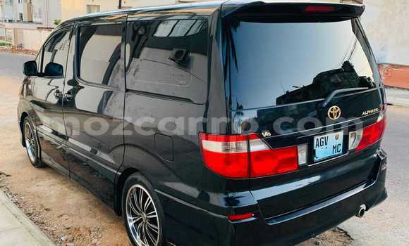 Tenga Tsaru Toyota Alphard Nhema Mota in Maputo in Maputo Tenga Tsaru Toyota Alphard Nhema Mota in Maputo in Maputo
