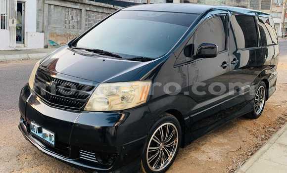 Tenga Tsaru Toyota Alphard Nhema Mota in Maputo in Maputo Tenga Tsaru Toyota Alphard Nhema Mota in Maputo in Maputo