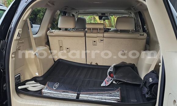Tenga Tsaru Toyota Land Cruiser Prado Nhema Mota in Maputo in Maputo Tenga Tsaru Toyota Land Cruiser Prado Nhema Mota in Maputo in Maputo