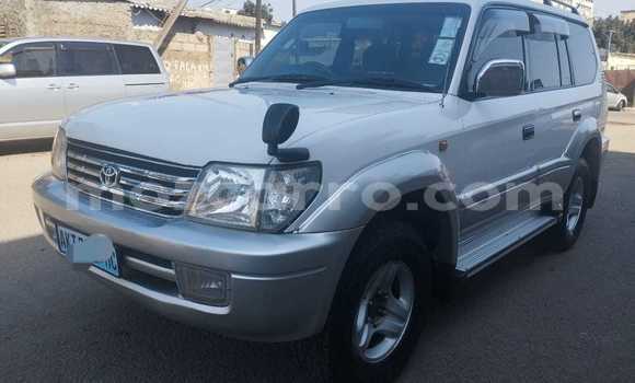 Buy Used Toyota Land Cruiser Prado White Car in Maputo in Maputo