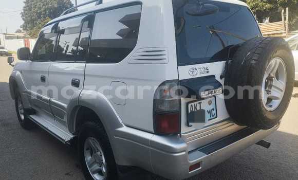 Buy Used Toyota Land Cruiser Prado White Car in Maputo in Maputo Buy Used Toyota Land Cruiser Prado White Car in Maputo in Maputo