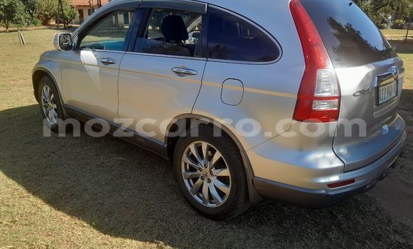 Buy Used Honda CR-V Other Car in Maputo in Maputo Buy Used Honda CR-V Other Car in Maputo in Maputo