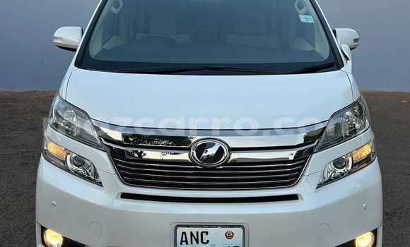 Buy Used Toyota Alphard White Car in Maputo in Maputo