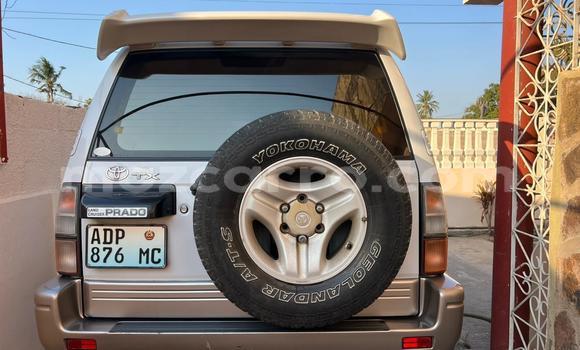 Comprar Usado Toyota Land Cruiser Prado Branco Carro em Maputo em Maputo Comprar Usado Toyota Land Cruiser Prado Branco Carro em Maputo em Maputo