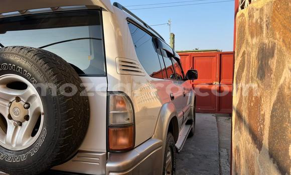 Comprar Usado Toyota Land Cruiser Prado Branco Carro em Maputo em Maputo Comprar Usado Toyota Land Cruiser Prado Branco Carro em Maputo em Maputo