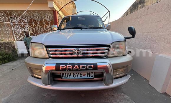 Comprar Usado Toyota Land Cruiser Prado Branco Carro em Maputo em Maputo Comprar Usado Toyota Land Cruiser Prado Branco Carro em Maputo em Maputo