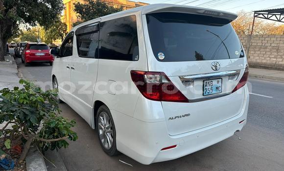 Comprar Usado Toyota Alphard Branco Carro em Maputo em Maputo Comprar Usado Toyota Alphard Branco Carro em Maputo em Maputo