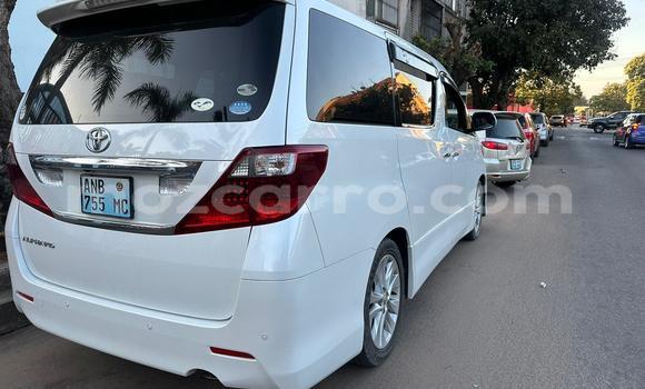 Comprar Usado Toyota Alphard Branco Carro em Maputo em Maputo Comprar Usado Toyota Alphard Branco Carro em Maputo em Maputo