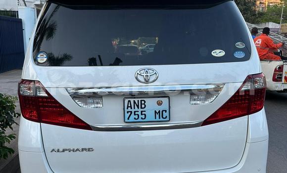 Comprar Usado Toyota Alphard Branco Carro em Maputo em Maputo Comprar Usado Toyota Alphard Branco Carro em Maputo em Maputo