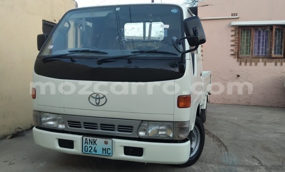 2024年 お歳暮・冬ギフト特集 sale for Cars in mozcarro - mozambique 人体模型