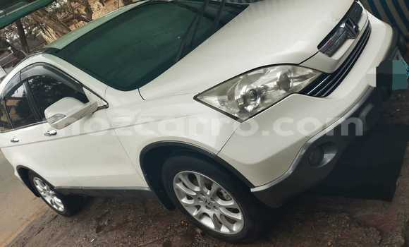 Tenga Tsaru Honda CR-V Chena Mota in Maputo in Maputo