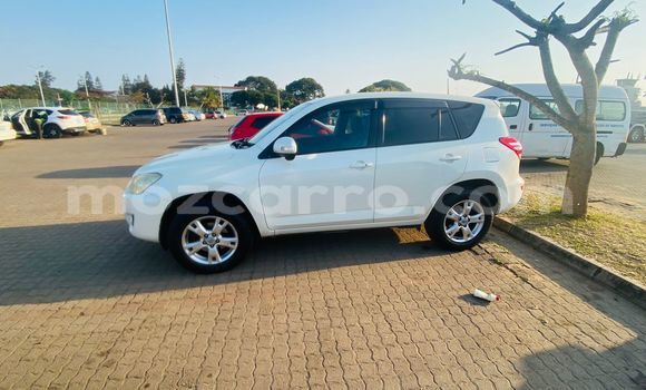 Nunua Ilio tumika Toyota RAV4 Nyeupe Gari ndani ya Maputo nchini Maputo Nunua Ilio tumika Toyota RAV4 Nyeupe Gari ndani ya Maputo nchini Maputo