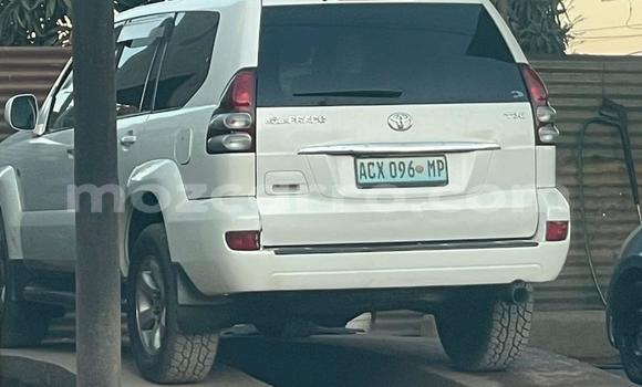 Buy Used Toyota Land Cruiser Prado White Car in Maputo in Maputo Buy Used Toyota Land Cruiser Prado White Car in Maputo in Maputo