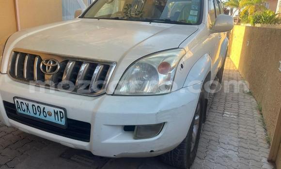 Buy Used Toyota Land Cruiser Prado White Car in Maputo in Maputo Buy Used Toyota Land Cruiser Prado White Car in Maputo in Maputo