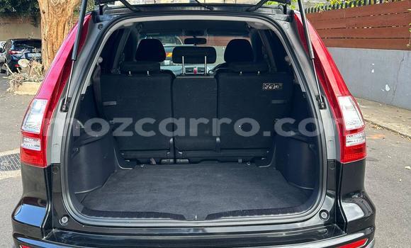 Tenga Tsaru Honda CR-V Nhema Mota in Maputo in Maputo Tenga Tsaru Honda CR-V Nhema Mota in Maputo in Maputo