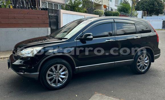 Tenga Tsaru Honda CR-V Nhema Mota in Maputo in Maputo Tenga Tsaru Honda CR-V Nhema Mota in Maputo in Maputo