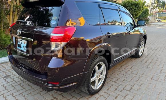 Buy Used Toyota Vanguard Other Car in Maputo in Maputo Buy Used Toyota Vanguard Other Car in Maputo in Maputo