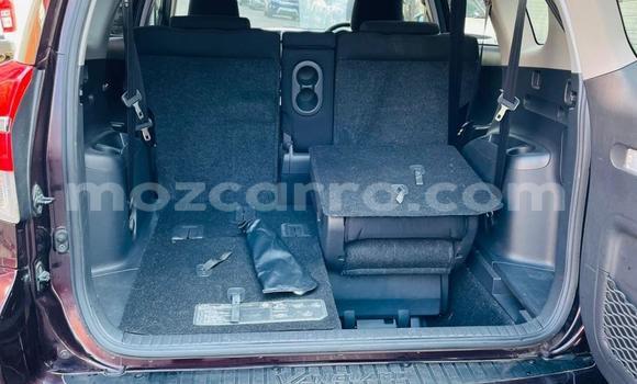 Buy Used Toyota Vanguard Other Car in Maputo in Maputo Buy Used Toyota Vanguard Other Car in Maputo in Maputo