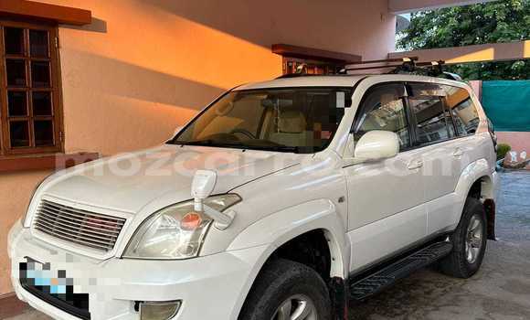 Tenga Tsaru Toyota Land Cruiser Prado Chena Mota in Maputo in Maputo Tenga Tsaru Toyota Land Cruiser Prado Chena Mota in Maputo in Maputo