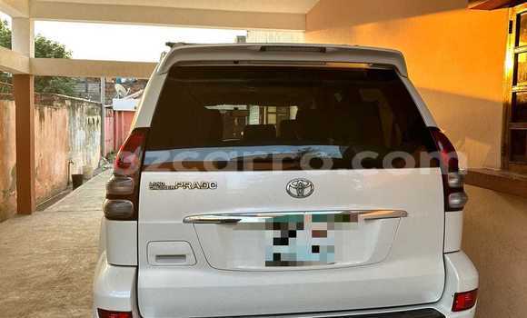 Tenga Tsaru Toyota Land Cruiser Prado Chena Mota in Maputo in Maputo Tenga Tsaru Toyota Land Cruiser Prado Chena Mota in Maputo in Maputo