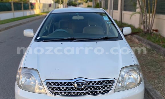 Buy Used Toyota Corolla White Car in Maputo in Maputo