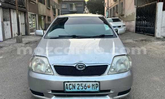 Comprar Usado Toyota Runx Prata Carro em Maputo em Maputo