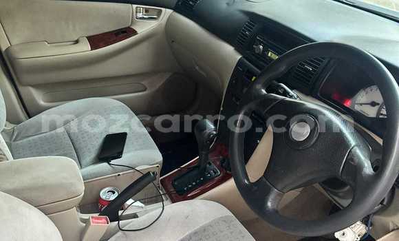 Comprar Usado Toyota Runx Prata Carro em Maputo em Maputo Comprar Usado Toyota Runx Prata Carro em Maputo em Maputo