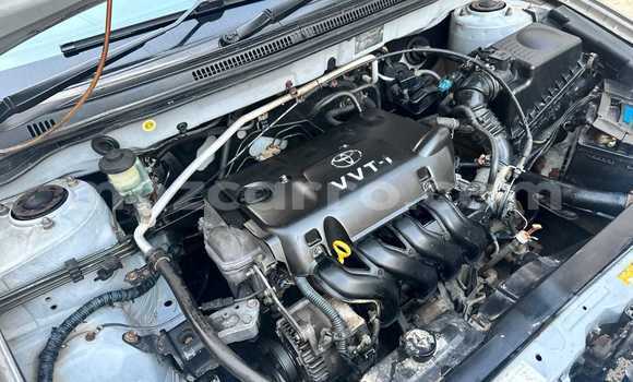 Comprar Usado Toyota Runx Prata Carro em Maputo em Maputo Comprar Usado Toyota Runx Prata Carro em Maputo em Maputo