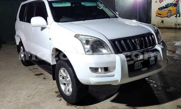 Tenga Tsaru Toyota Land Cruiser Prado Chena Mota in Maputo in Maputo Tenga Tsaru Toyota Land Cruiser Prado Chena Mota in Maputo in Maputo
