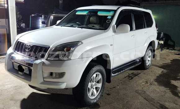 Tenga Tsaru Toyota Land Cruiser Prado Chena Mota in Maputo in Maputo Tenga Tsaru Toyota Land Cruiser Prado Chena Mota in Maputo in Maputo