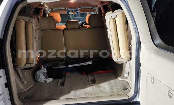 Tenga Tsaru Toyota Land Cruiser Prado Chena Mota in Maputo in Maputo Tenga Tsaru Toyota Land Cruiser Prado Chena Mota in Maputo in Maputo