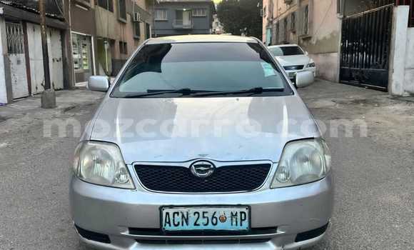 Comprar Usado Toyota Runx Prata Carro em Maputo em Maputo