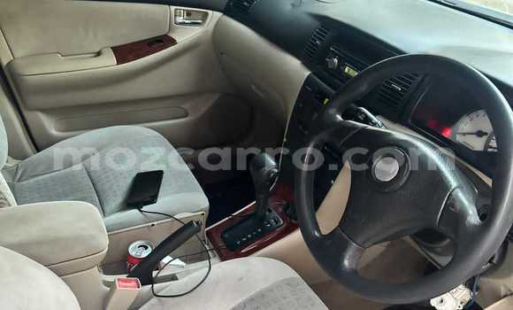 Comprar Usado Toyota Runx Prata Carro em Maputo em Maputo Comprar Usado Toyota Runx Prata Carro em Maputo em Maputo