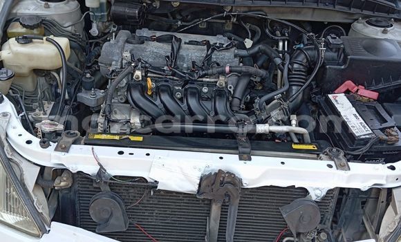 Tenga Tsaru Toyota Allion Chena Mota in Maputo in Maputo Tenga Tsaru Toyota Allion Chena Mota in Maputo in Maputo