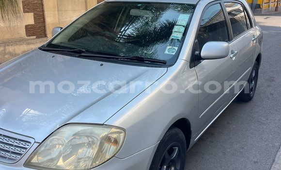 Nunua Ilio tumika Toyota Runx Fedha Gari ndani ya Maputo nchini Maputo Nunua Ilio tumika Toyota Runx Fedha Gari ndani ya Maputo nchini Maputo