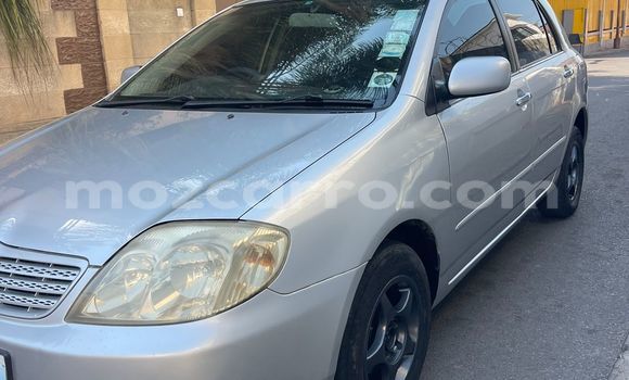 Nunua Ilio tumika Toyota Runx Fedha Gari ndani ya Maputo nchini Maputo Nunua Ilio tumika Toyota Runx Fedha Gari ndani ya Maputo nchini Maputo