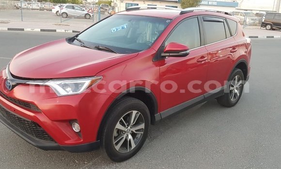 Comprar Importar Toyota Ade Vermelho Caminhão em Import - Dubai em Cabo Delgado