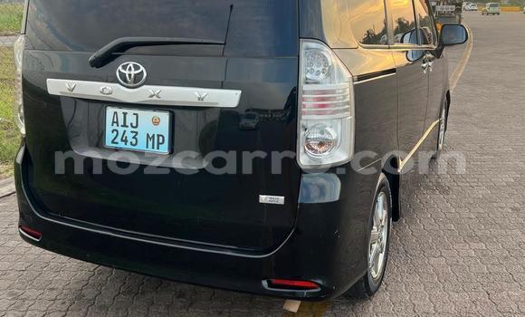 Tenga Tsaru Toyota Noah Nhema Mota in Maputo in Maputo Tenga Tsaru Toyota Noah Nhema Mota in Maputo in Maputo