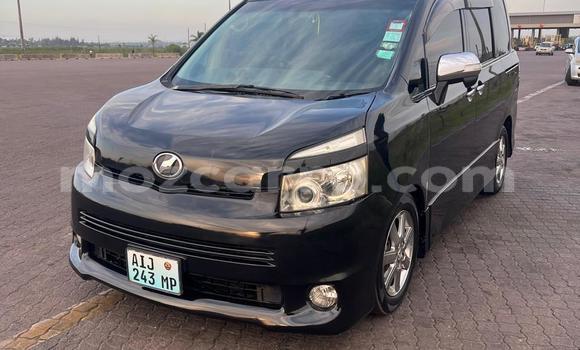 Tenga Tsaru Toyota Noah Nhema Mota in Maputo in Maputo Tenga Tsaru Toyota Noah Nhema Mota in Maputo in Maputo